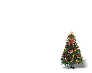 Christmas Tree on White Background
